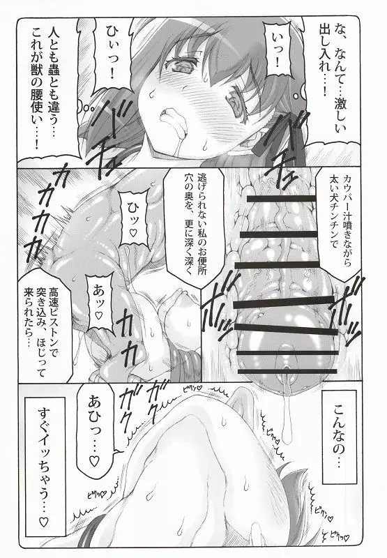 蟲鳥 12 Page.12