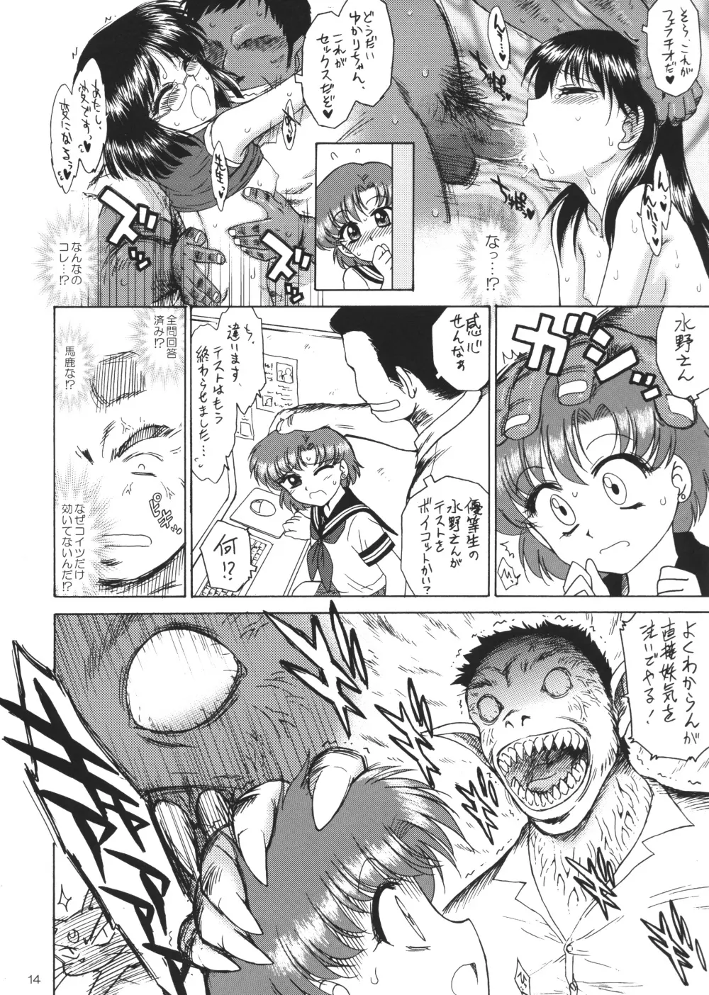 SUBMISSION-R RE・MERCURY Page.13