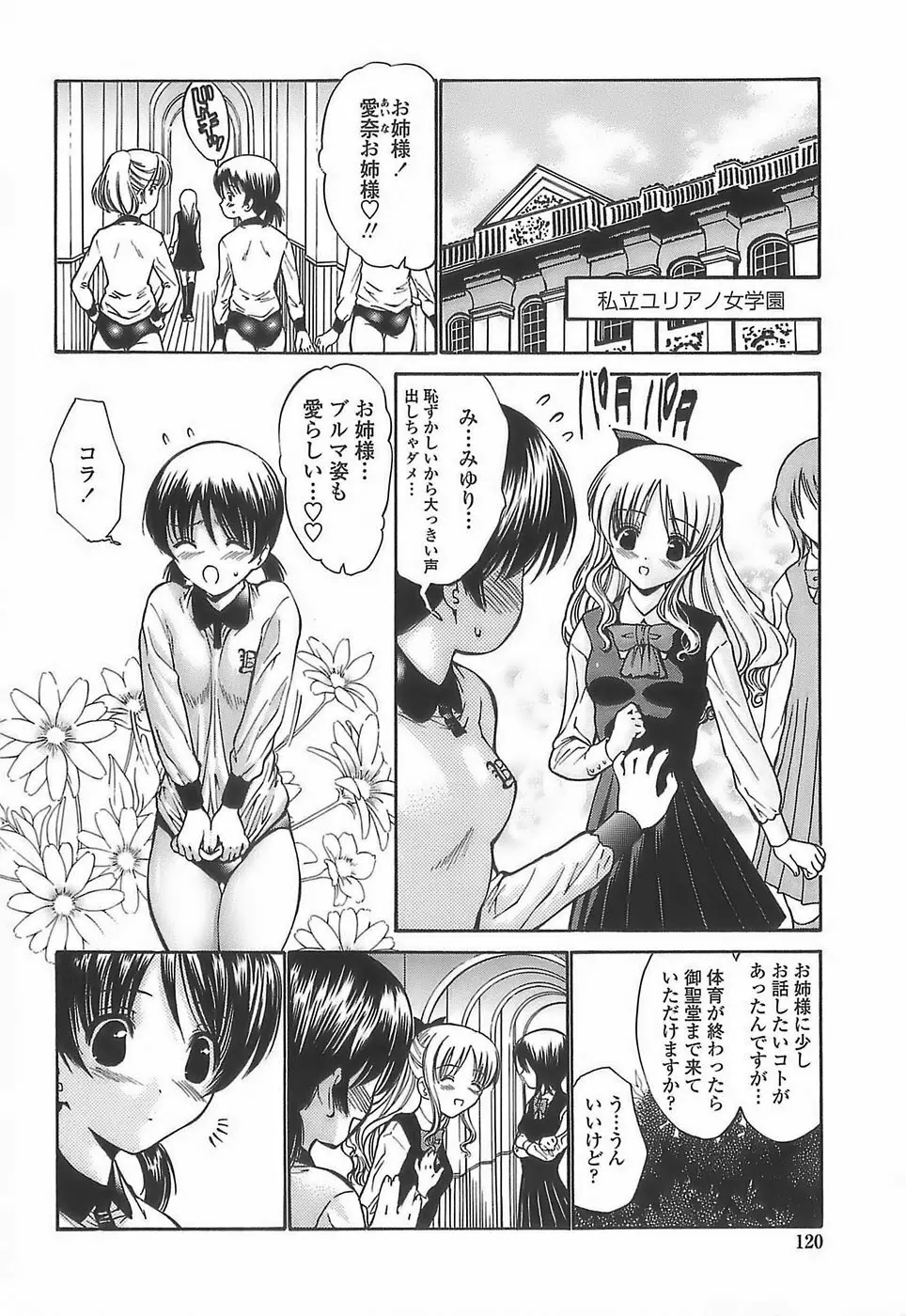 あげはのおとめ Page.118