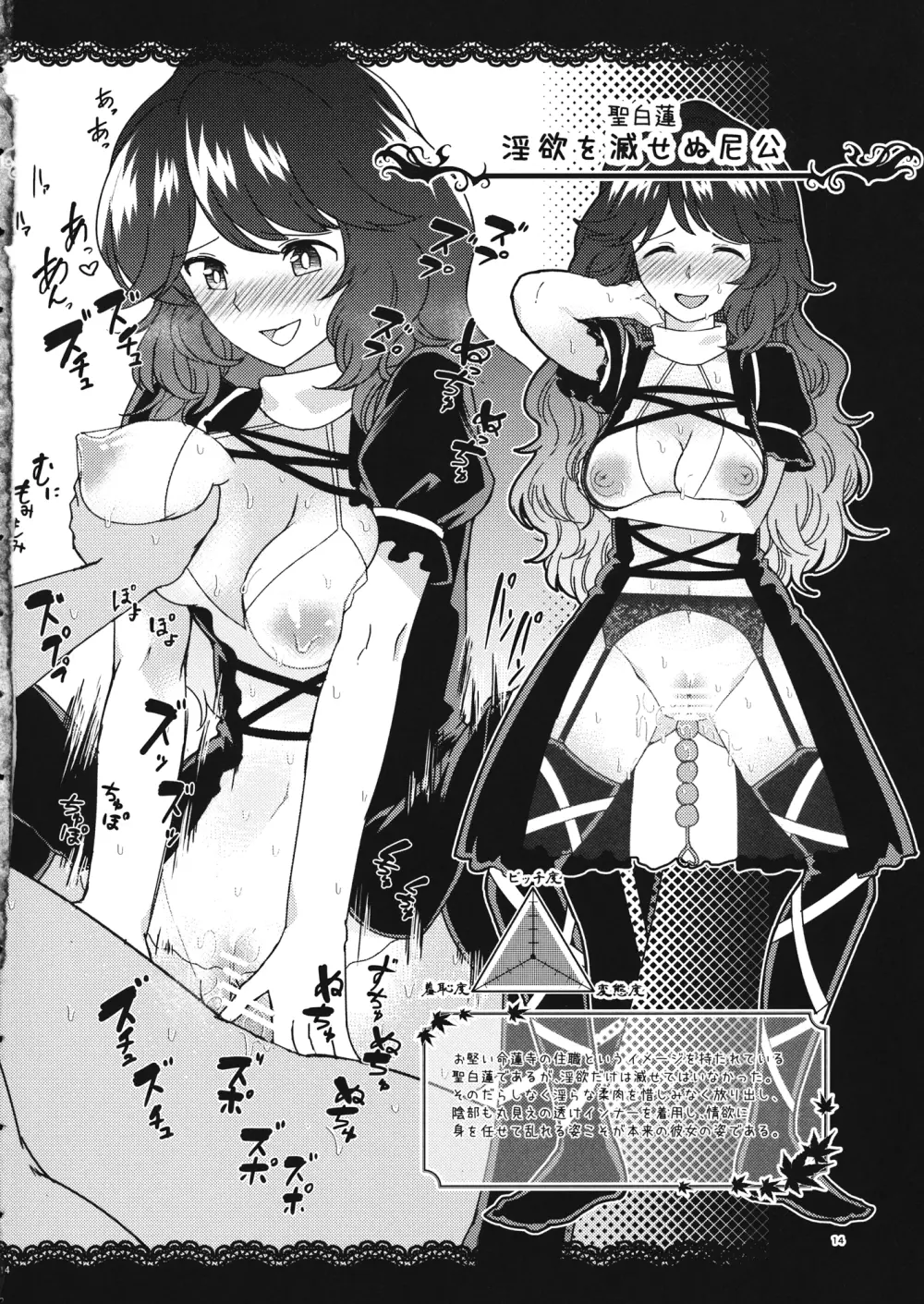 かってに魔改造~星蓮船編~ Page.13