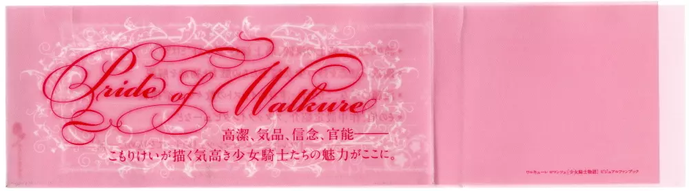 ワルキューレロマンツェ［少女騎士物語］ ビジュアルファンブック Page.2