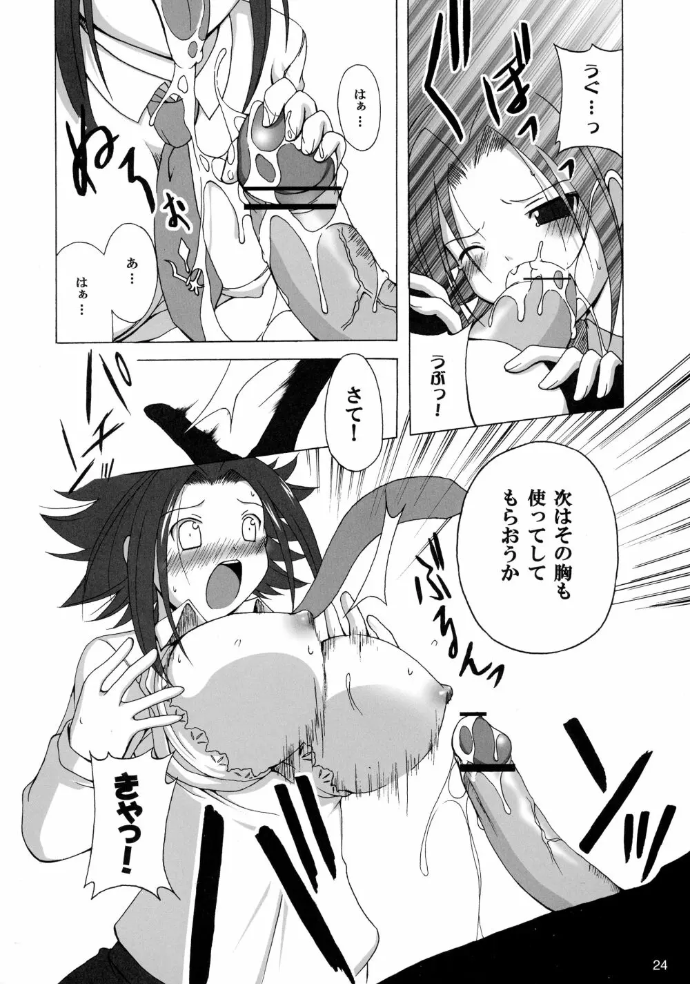 GEASSMIX Page.24