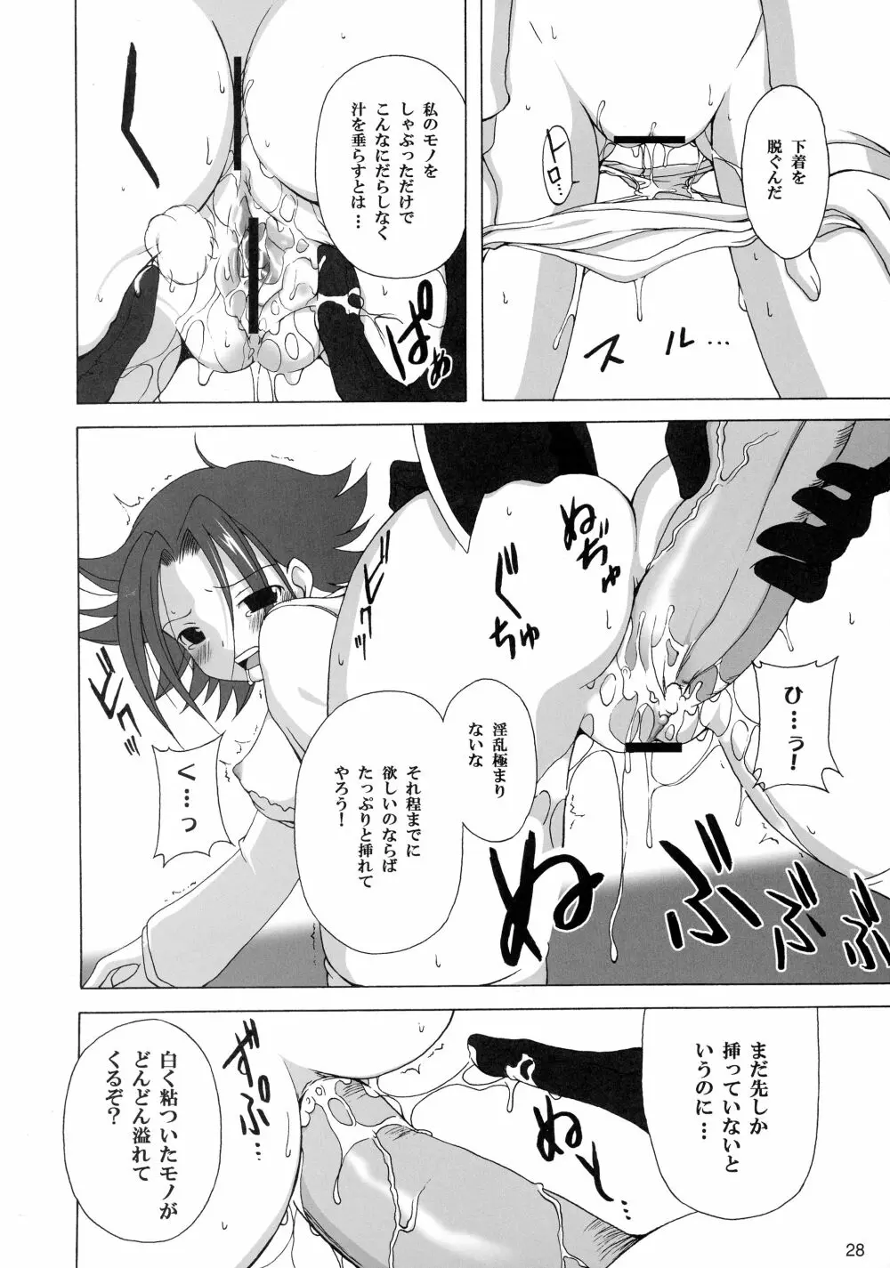 GEASSMIX Page.28