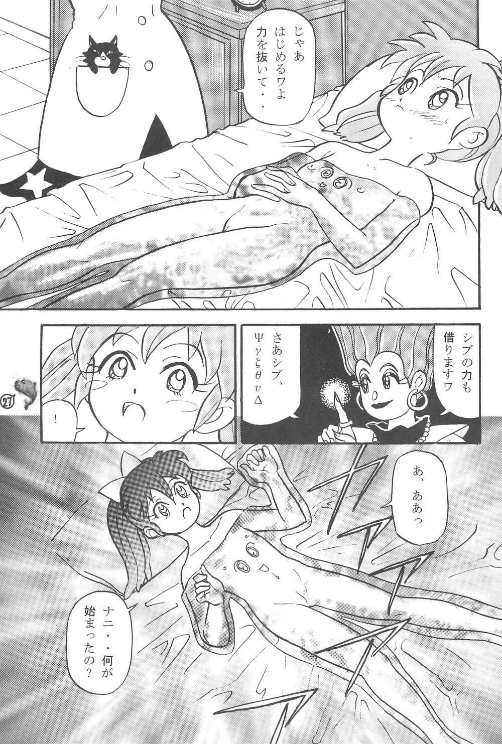 ファンファンプニティー Page.27