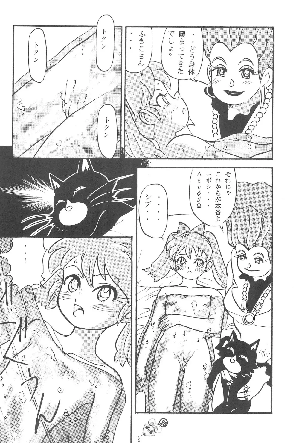 ファンファンプニティー Page.28