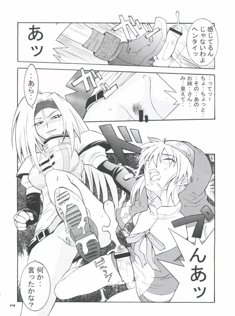 ブリジックス Page.13