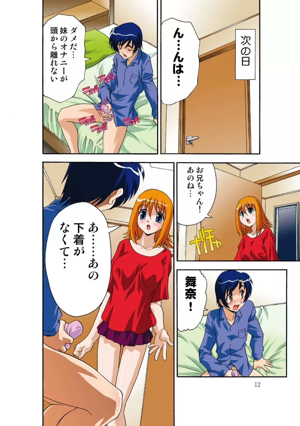 いつか妹を犯しそうな俺の肉欲 Page.13