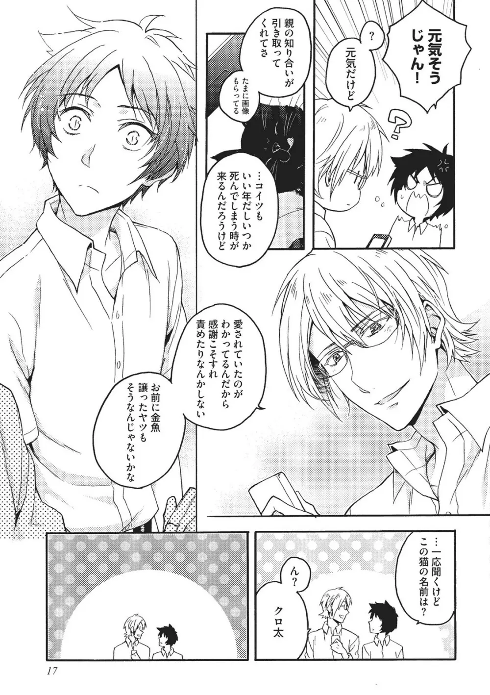 懐かない猫のモフり方 Page.18