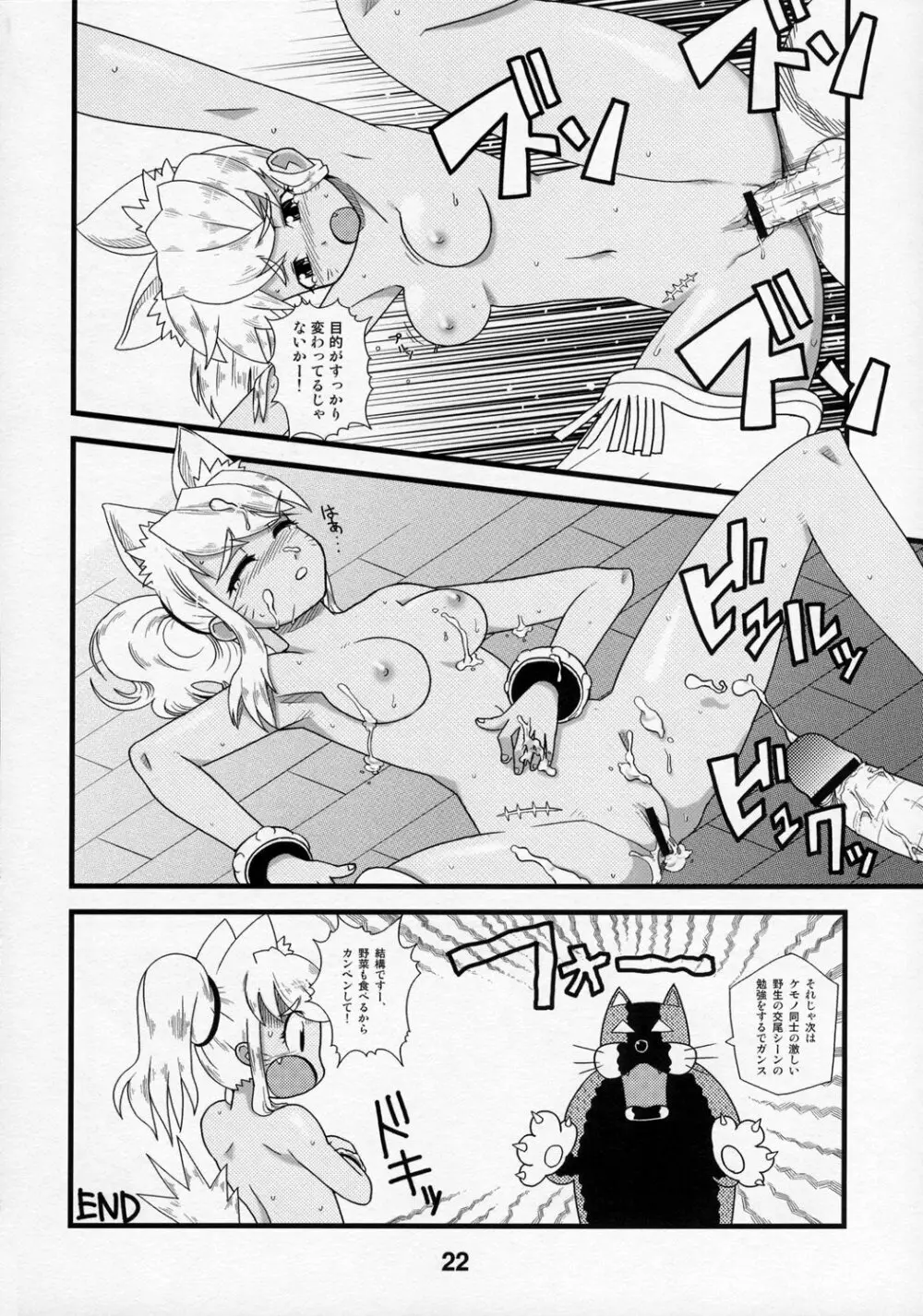 アニメマニア Page.21
