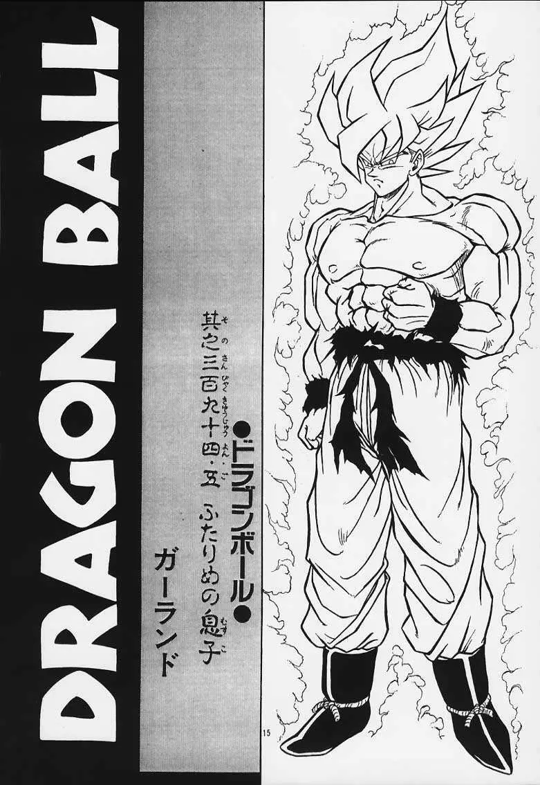 ドラゴンボールH 巻一・二 再版 Page.14