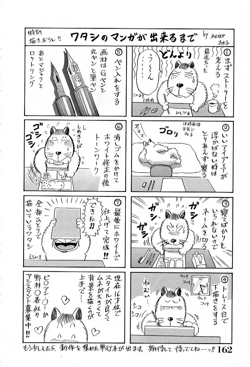 ビキニでごめんね Page.163