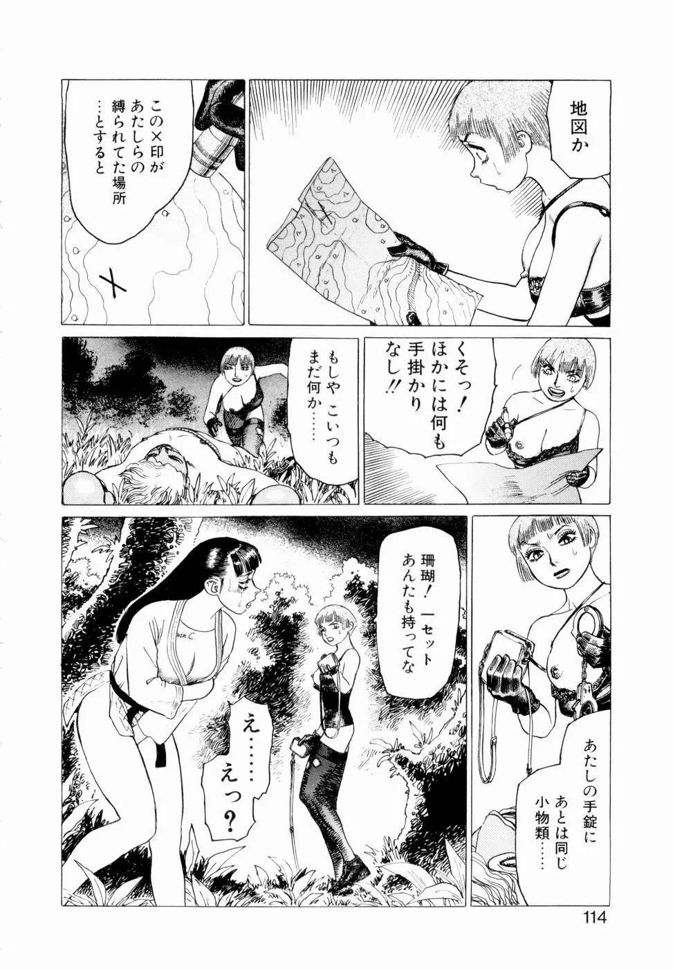 弾アモウ 第3巻 Page.116