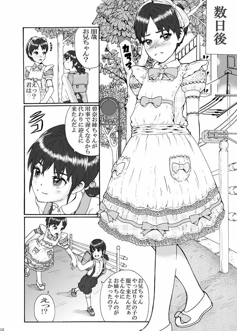 ふたなり三姉妹は女装少年のアナルがお好き Page.13