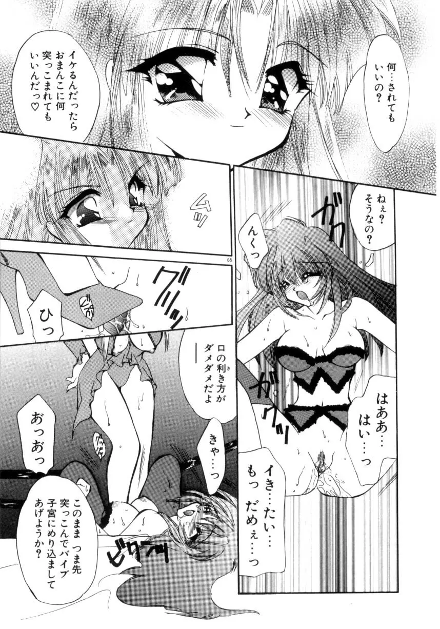 眠りつづけるお姫様 Page.67