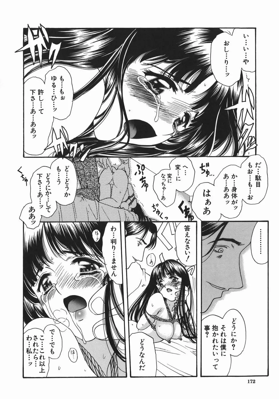 瑠璃の涙痕 Page.171