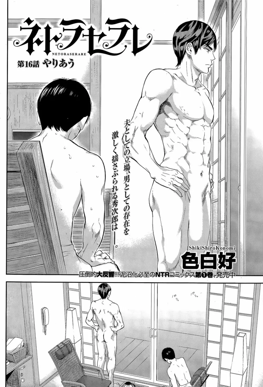 ネトラセラレ Page.311