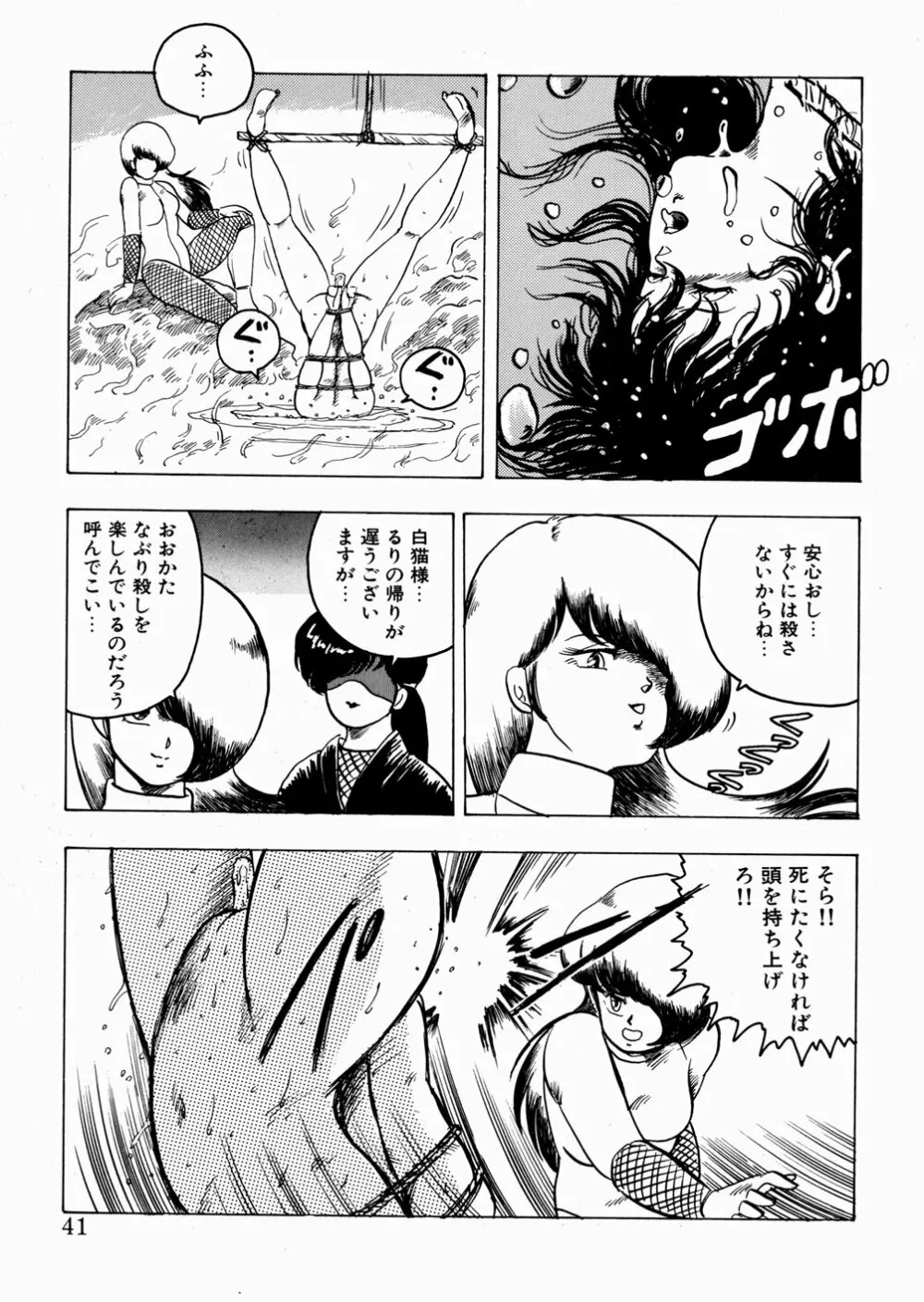 妖花忍法帖・天之巻 Page.42