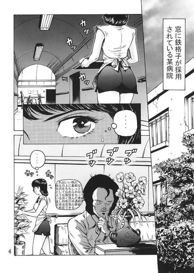 ファ・ユイリィのアツアツ看護婦 Page.3